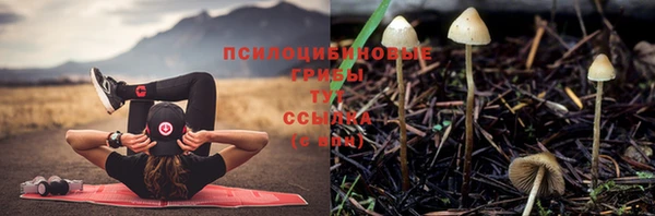 синтетический гашиш Тобольск