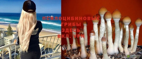 Альфа ПВП Тихвин