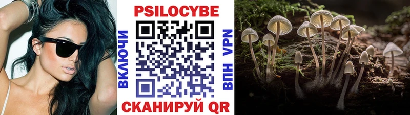 Псилоцибиновые грибы мухоморы  магазин  наркотиков  Новочебоксарск 